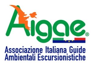 Logo Aigae
